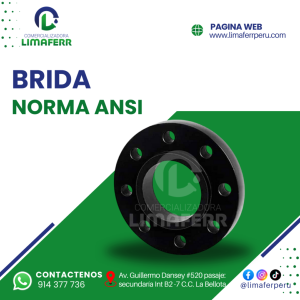 BRIDA NORMA ANSI