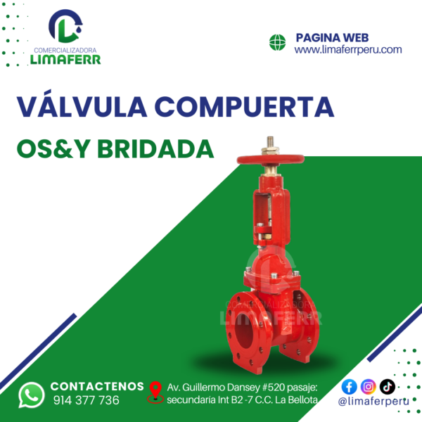 VALVULA COMPUERTA OS&Y BRIDADA